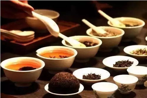 茶韻養生 解鎖普洱茶的保健功效與養生服務之道